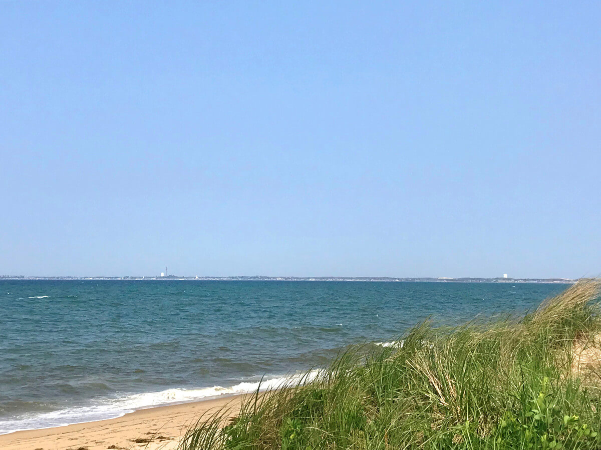 Dune grass and the view toward Provincetown from Cold Storage Beach in North Truro