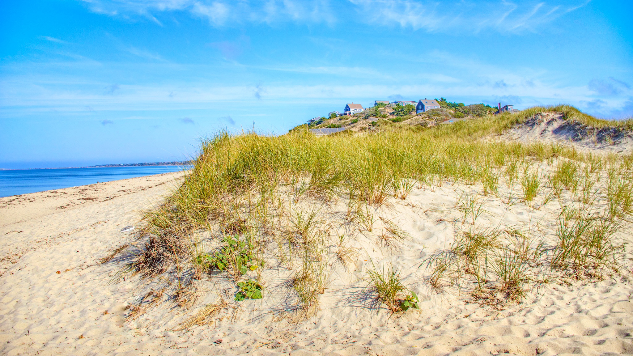 Dune grass and the bay shoreline at Corn Hill Beach in Truro