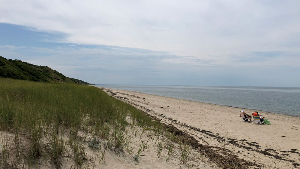 Dune grass, sand and the bay shoreline at Fisher Beach in Truro
