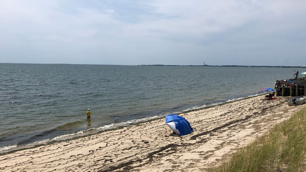 The bay shoreline at Noons Landing, looking toward Provincetown