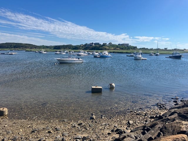 Boats moored in Pamet Harbor, seen from the shoreline