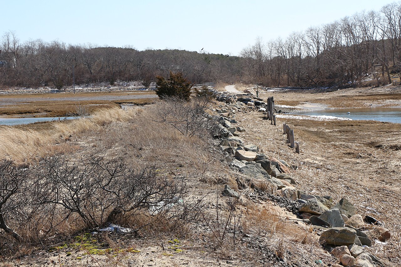 Former railroad crossing and tidal marsh at Pamet Harbor in March 2014