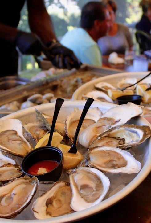 Oysters served at Pearl’s raw bar in Wellfleet
