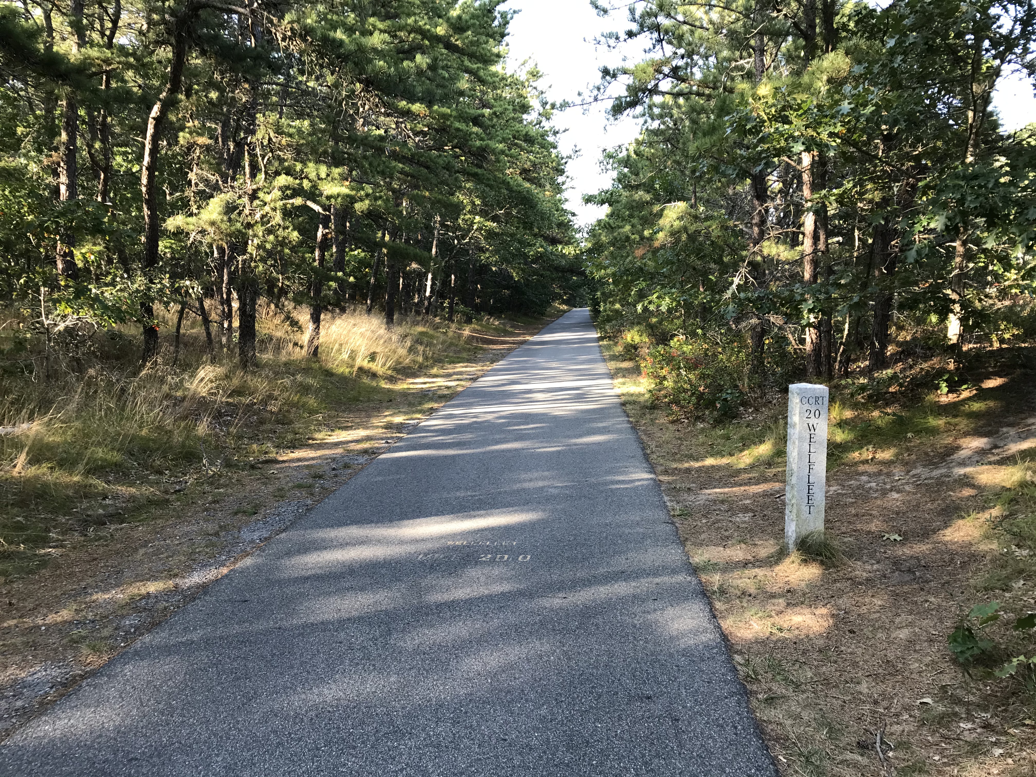 The Cape Cod Rail Trail at mile 20 in South Wellfleet
